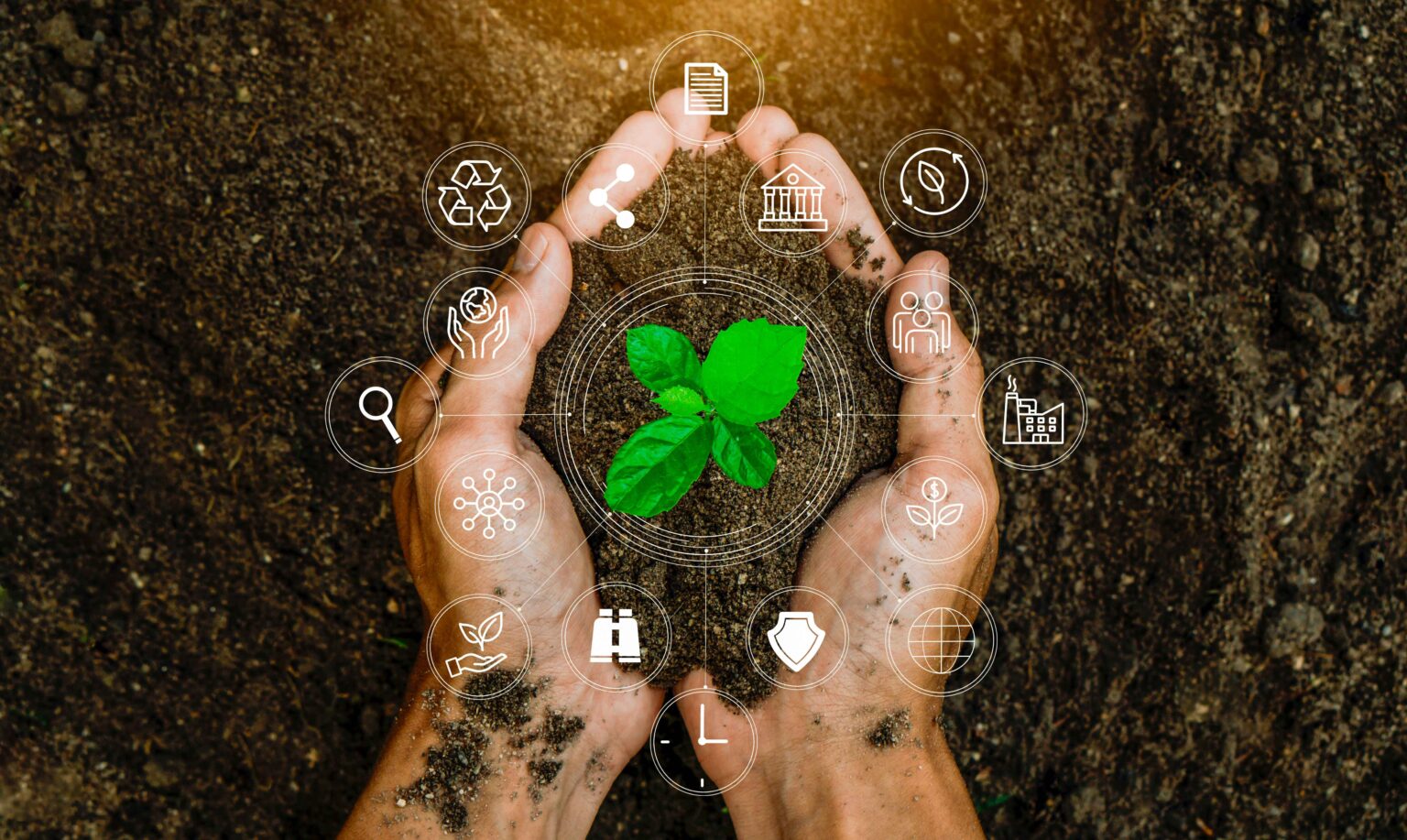 Mãos segurando uma muda de planta, símbolo do cuidado ambiental